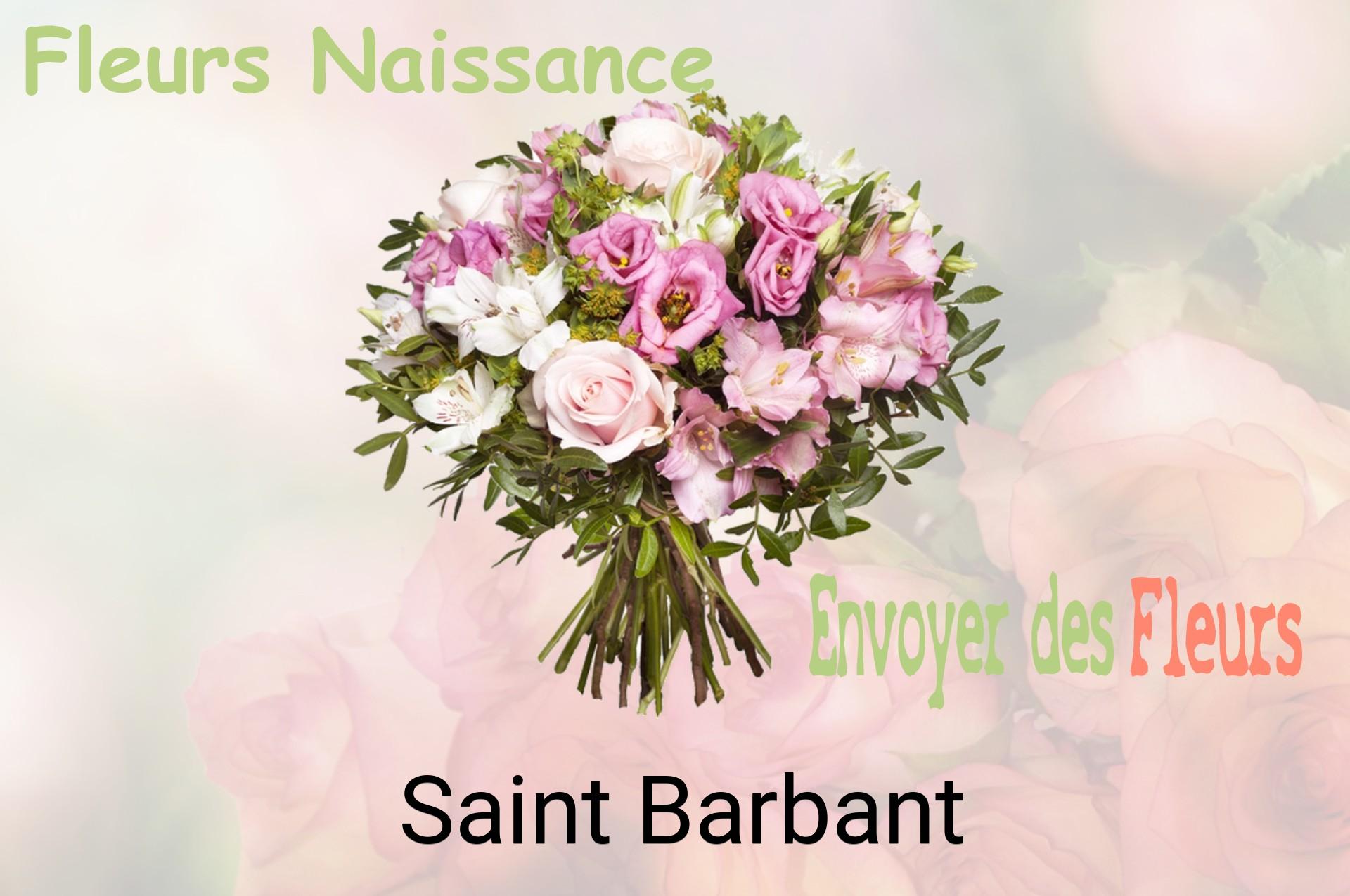 Bouquet de fleurs de naissance livré à Saint-Barbant